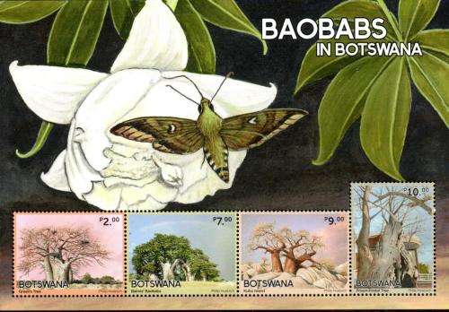 Botswana - 2022 Baobabs MS MNH