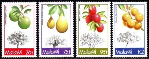 Malawi - 1993 Indigenous Fruit Trees Set MNH SG 909-912