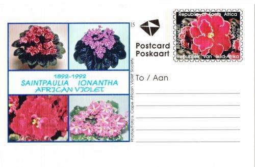 South Africa - 1992 Inland Postcard #15 African Violet