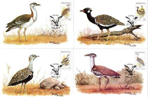 Bophuthatswana - 1983 Birds of the Veld Maxi Card Set