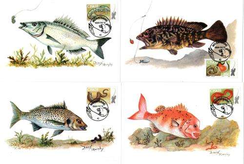 Ciskei - 1984 Fishbait Maxi Card Set