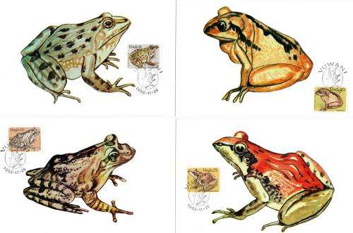 Venda - 1982 Frogs Maxi Card Set