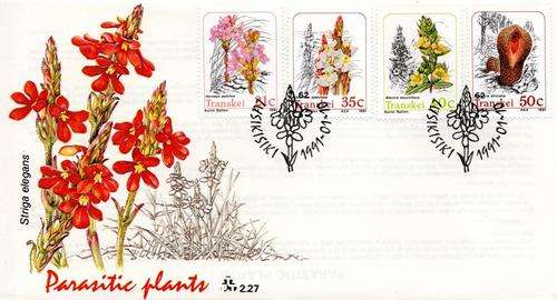 Transkei - 1991 Parasitic Plants FDC 2.27