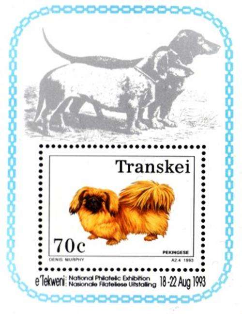 Transkei - 1993 Foundation Dogs MS MNH SACC 302a