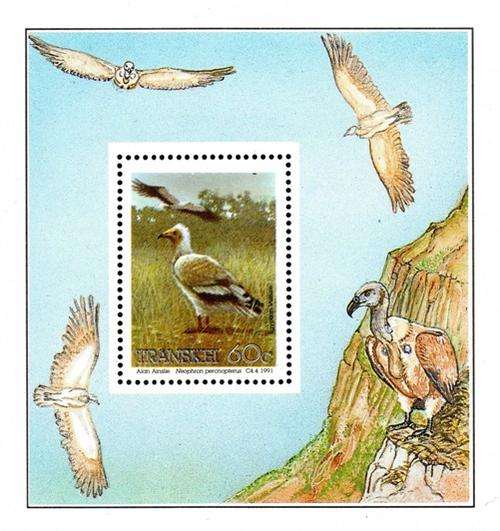 Transkei - 1991 Endangered Birds Foundation MS SACC 276a
