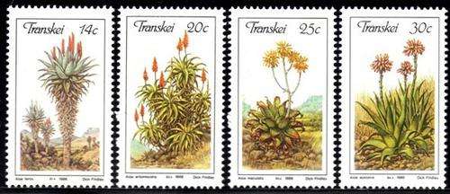 Transkei - 1986 Aloes Set MNH SACC 187-190