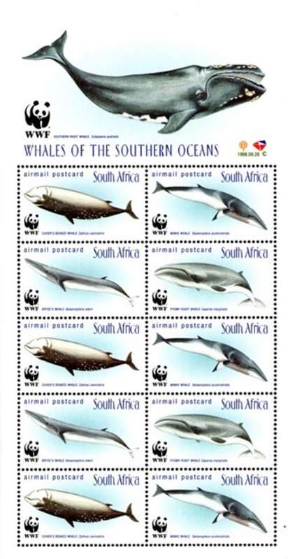 South Africa - 1999 WWF Whales Booklet Sheet MNH 1172-1175