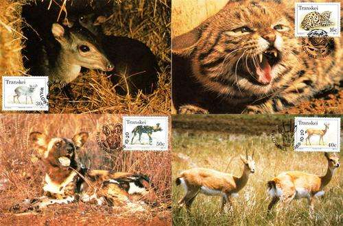 Transkei - 1988 Endangered Animals Maxi Card Set