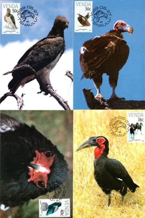 Venda - 1989 Endangered Birds Maxi Card Set