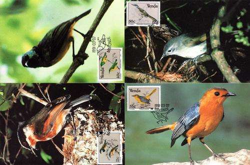Venda - 1991 Birds Maxi Card Set