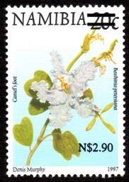 Namibia - 2005 Surcharges $2.90 on 20c Type II MNH SACC 483