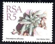 South Africa - 1990 Succulents R5 Additional Value MNH SACC 720