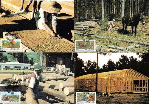 Venda - 1986 Forestry Maxi Card Set