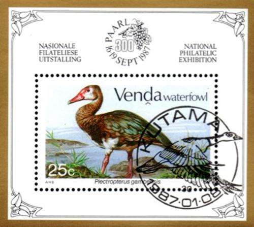 Venda - 1987 Philatelic Foundation MS Waterfowl Used SACC 153a