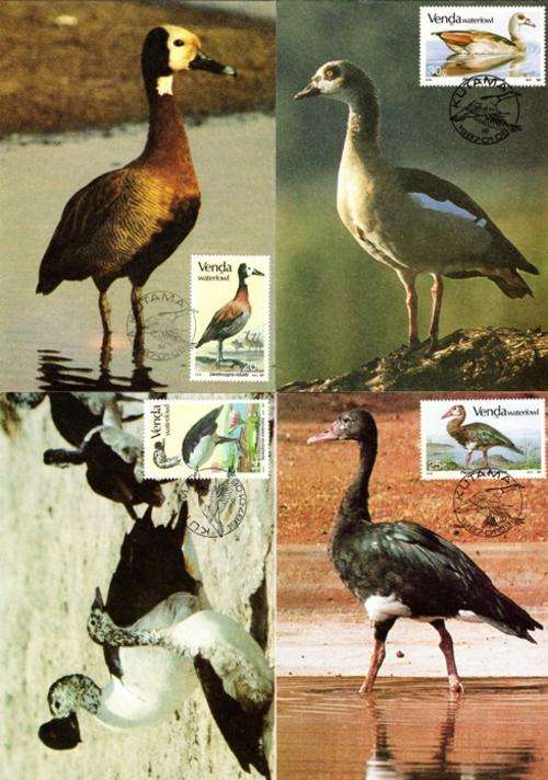 Venda - 1987 Waterfowl Maxi Card Set