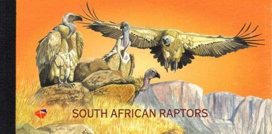 South Africa - 1998 Raptors Souvenir Booklet SACC 1119