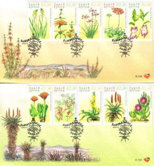 South Africa - 2000 Medicinal Plants FDC Set 6.119 + 6.120