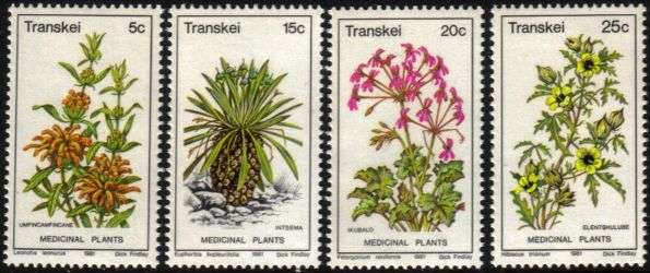 Transkei - 1981 Medicinal Plants (2nd series) MNH Set SACC 88-91