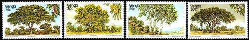 Venda - 1984 Indigenous Trees (3rd series) Silk Maxi Card Set