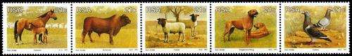 South Africa - 1991 Animal Breeding Set MNH SACC 741-745