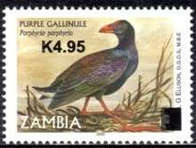 Zambia - 2014 Gallinule K4.95 Large Block Overprint MNH