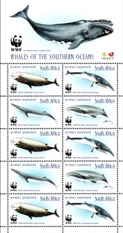 South Africa - 1998 WWF Whales Sheet MNH SACC 1172-1175