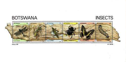 Botswana - 1981 Insects MS MNH SG 485