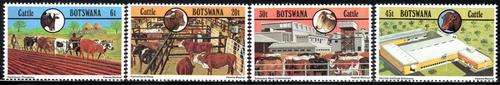 Botswana - 1981 Cattle Industry Set MNH SG 499-502