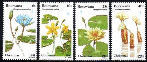 Botswana - 1981 Christmas Set MNH SG 503-506