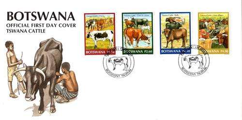 Botswana - 2006 Tswana Cattle FDC