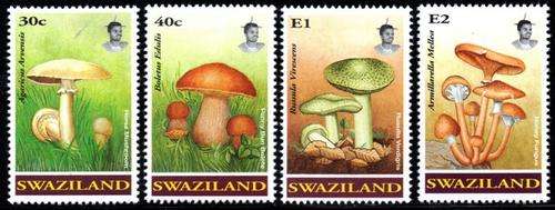 Swaziland - 1994 Fungi Set MNH SG 638-641