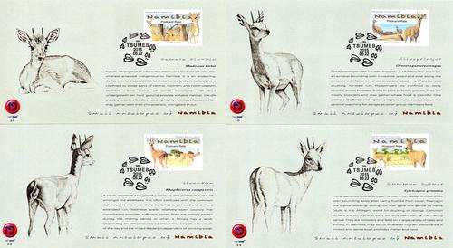 Namibia - 2015 Small Antelopes FD Card Set 5.11-5.14