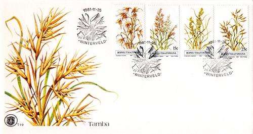 Bophuthatswana - 1981 Indigenous Grasses (1st series) FDC 1.19