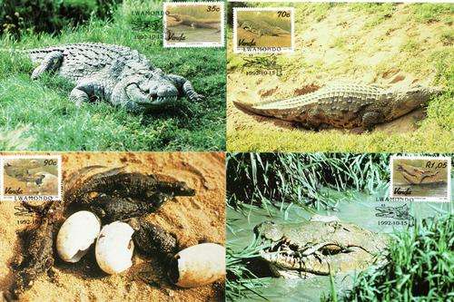 Venda - 1992 Crocodile Farming Maxi Card Set