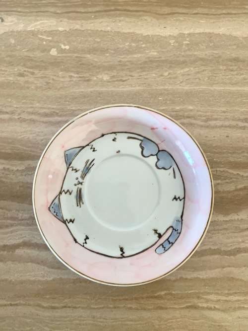 Arita ware Cat tea cup and saucer set