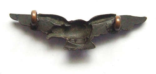 SAAF Badge