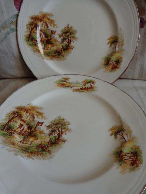 6 X ALFRED MEAKIN PLATES PORCELIN 220MM THE INN
