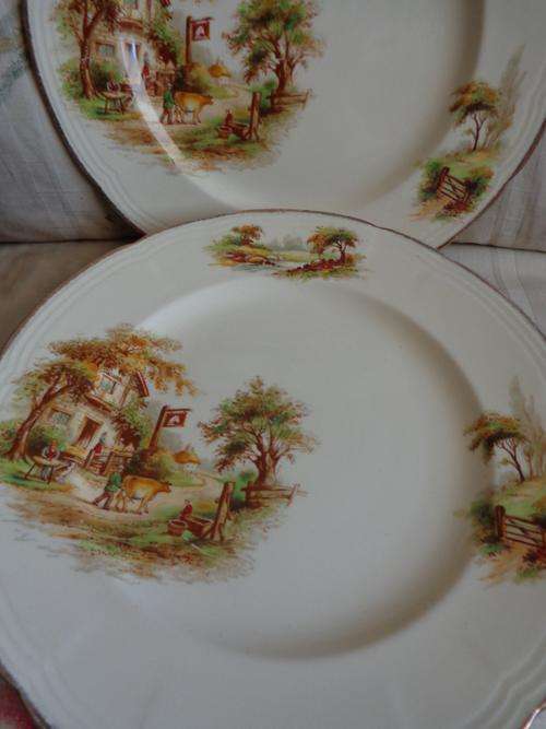 6 X ALFRED MEAKIN PORCELIN DINNER PLATES,,250MM  THE INN