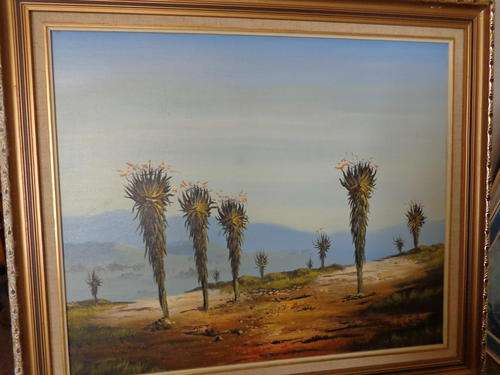MOOI ALWYN LANSKAP GERAAM 720 X 620 MM.lees aan
