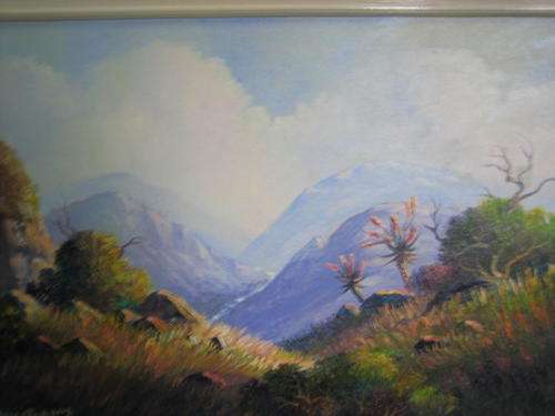 VELD UITSIG MET BERGPAS.LES ALBERTYN.960X740,large,frmd+certf..