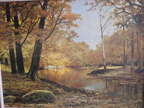 ROBERT.WOOD,,.AUTUMN BRONZE..720 X 560. FRAMED.looksee.post R60