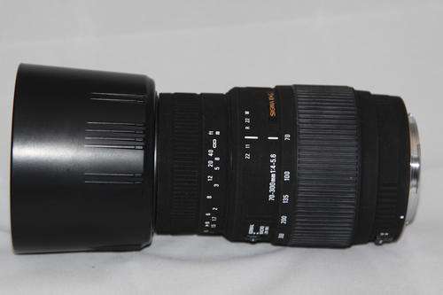 Sigma 70-300mm f/4-5.6 DG Macro ***Nikon mount***