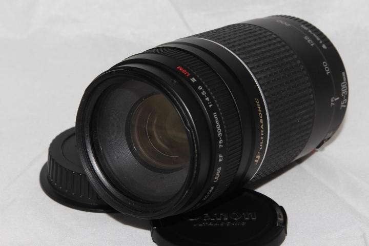 Canon EF 75-300mm f/4-5.6 III USM (Ultrasonic)