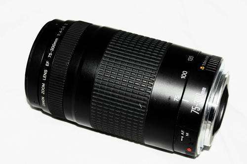 Canon EF 75-300mm f/4-5.6 ii (mark 2) ***Use as is - not economical to clean***