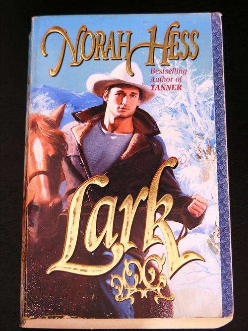 Historical Romance: Lark By Norah Hess