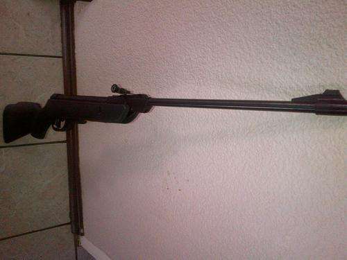 Gamo Delta Max Air Riffle