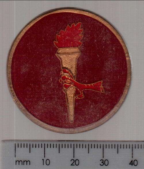44 para brigade pathfinder unit badge - as per scan*