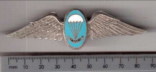 SA army parachute static line instructor badge, chrome with enamel centre - as per scan*