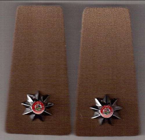 Pair of SADF Rank Badges - as per scan*