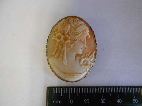 Cameo brooch with 9ct gold frame - as per scan